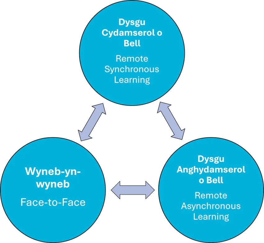 A diagram explaining the Hybrid Learning Model